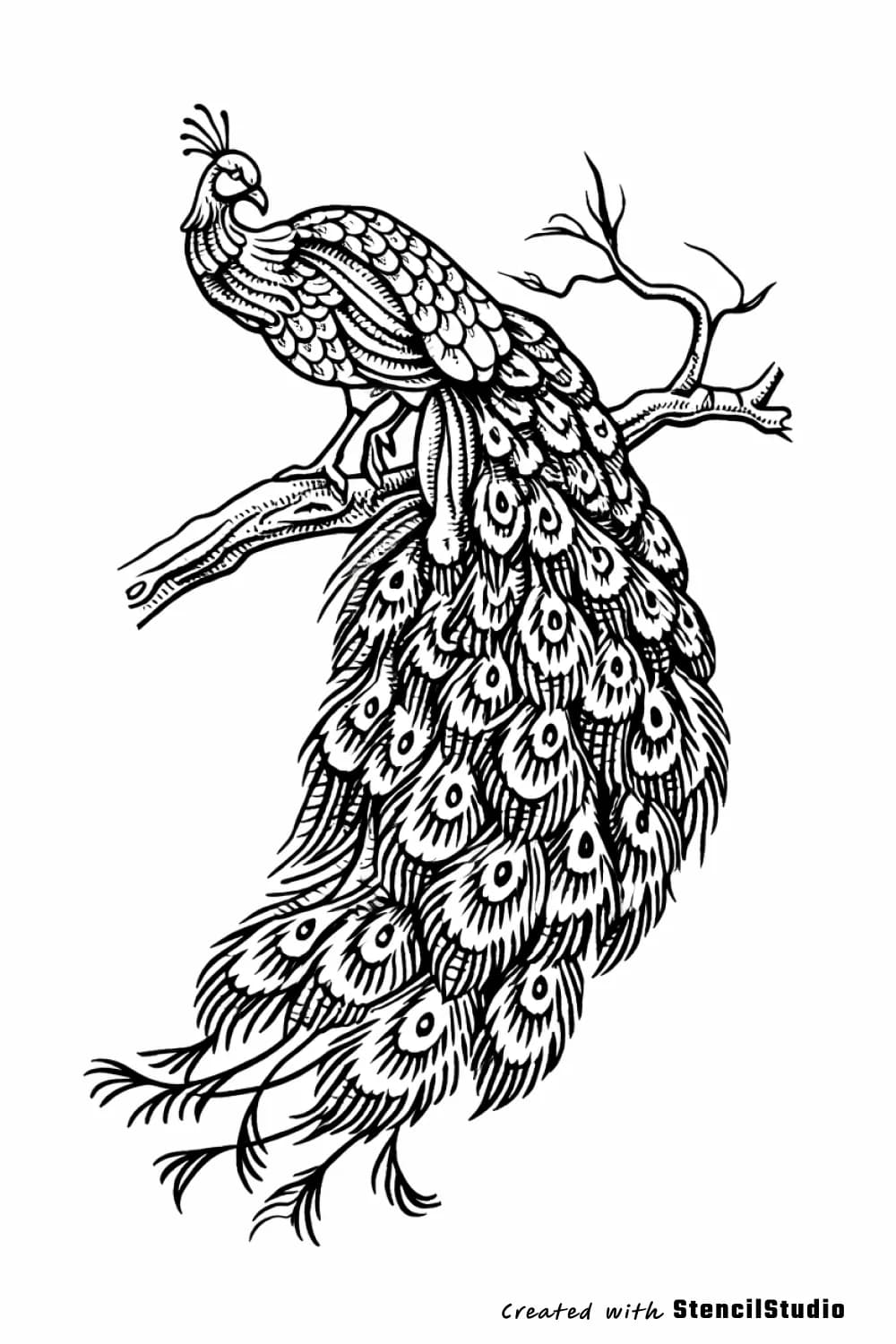 peacock tattoo stencil example