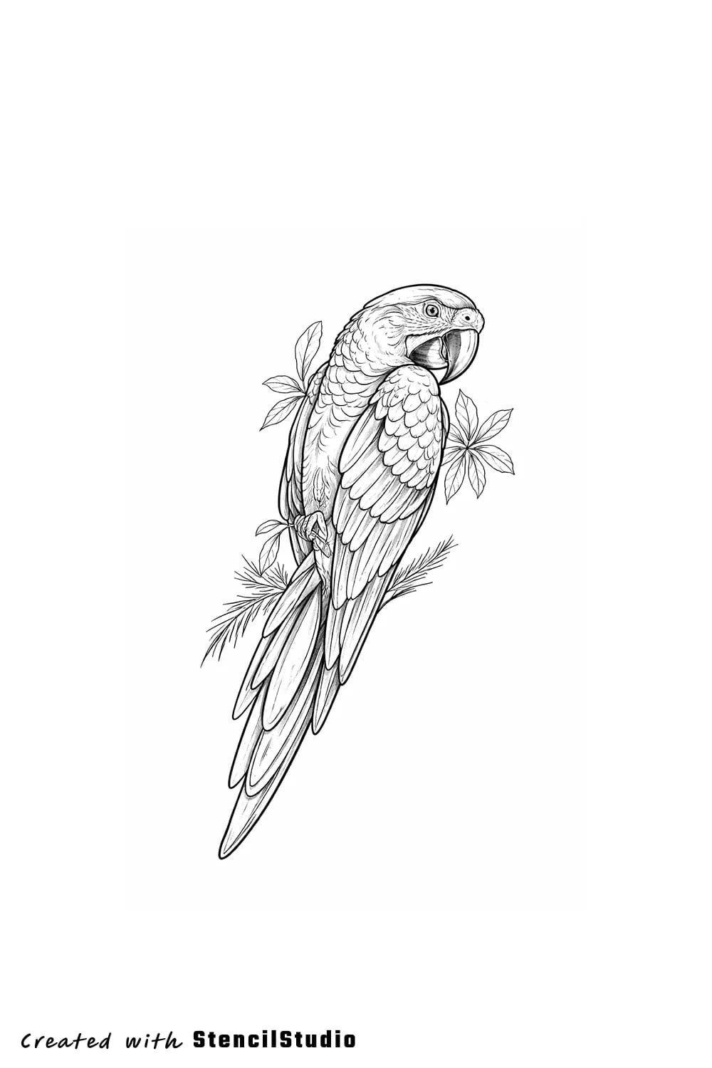parrot tattoo stencil example