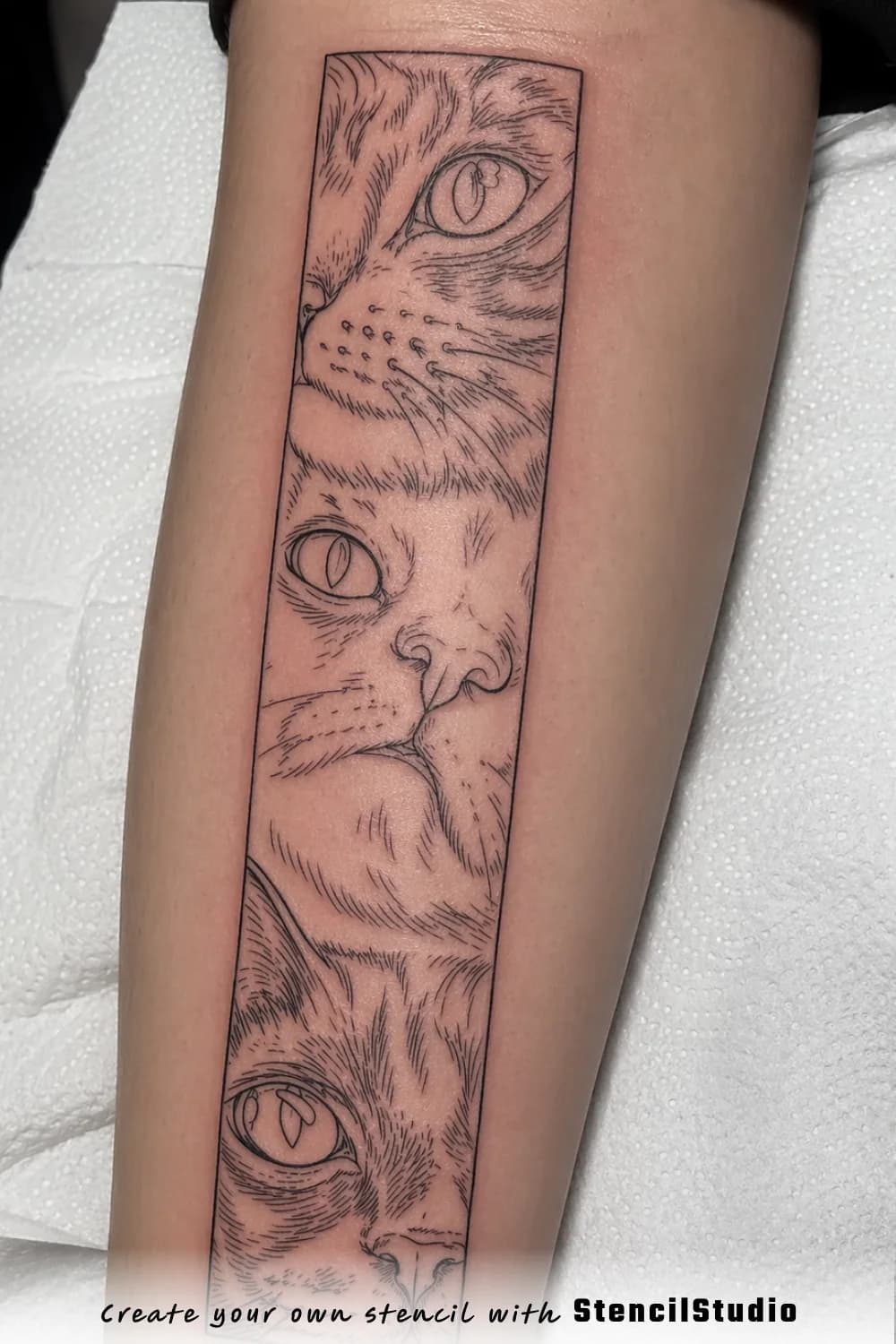 cat eye sequence tattoo stencil example